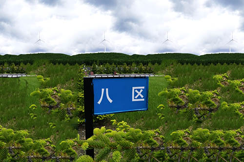 公墓环境