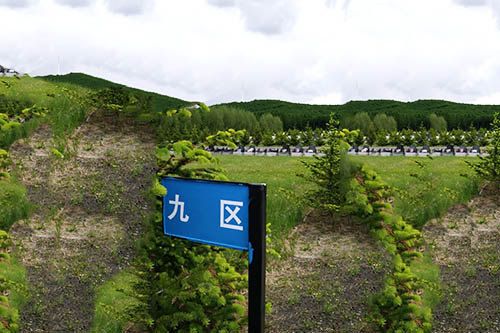公墓环境