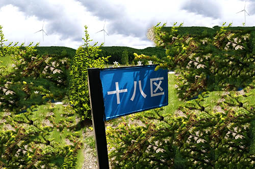 公墓环境