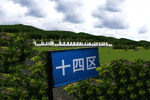 公墓环境