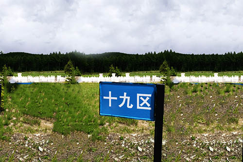 公墓环境