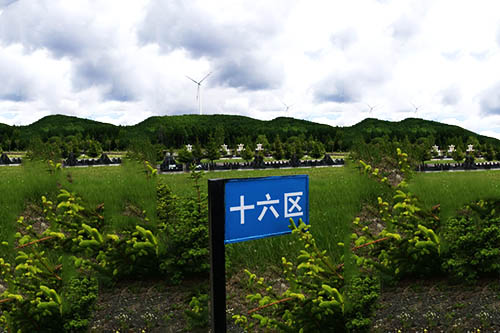 公墓环境